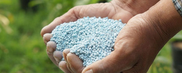 Vente des produits phytosanitaires en ligne