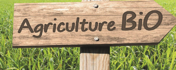 l'agriculture biologique