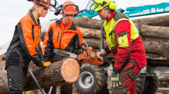 Travaux forestiers